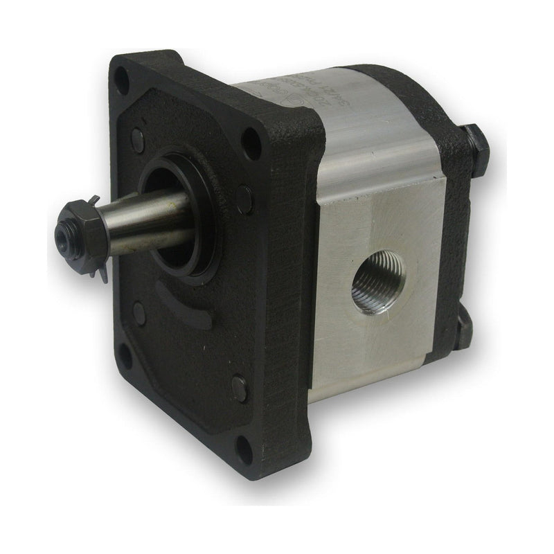 Group 2 Pump European Standard 4-Bolt Mount - BSPP - 1:8 Taper Shaft