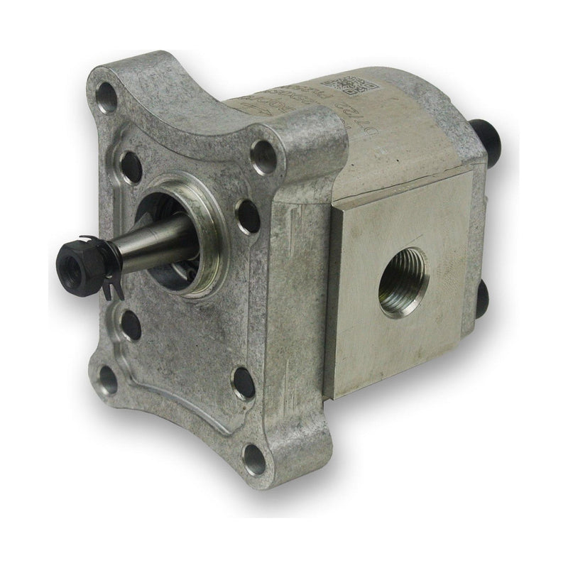 Group 1 Pump European Standard 4-Bolt Mount - BSPP - 1:8 Taper Shaft