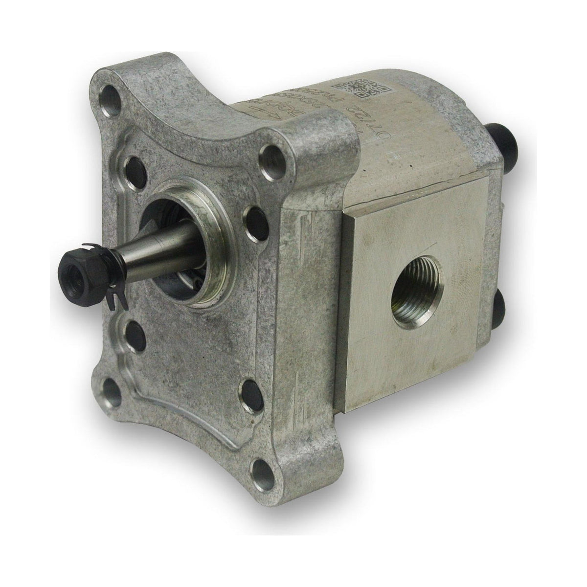 Group 1 Pump European Standard 4-Bolt Mount - BSPP - 1:8 Taper Shaft ...